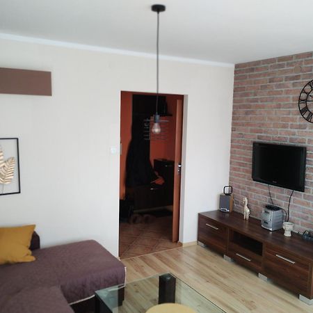 Green Apartment Z Bezplatnym Parkingiem オルシュティン エクステリア 写真