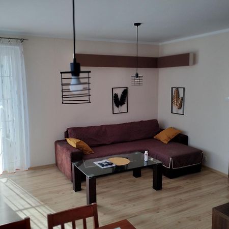 Green Apartment Z Bezplatnym Parkingiem オルシュティン エクステリア 写真