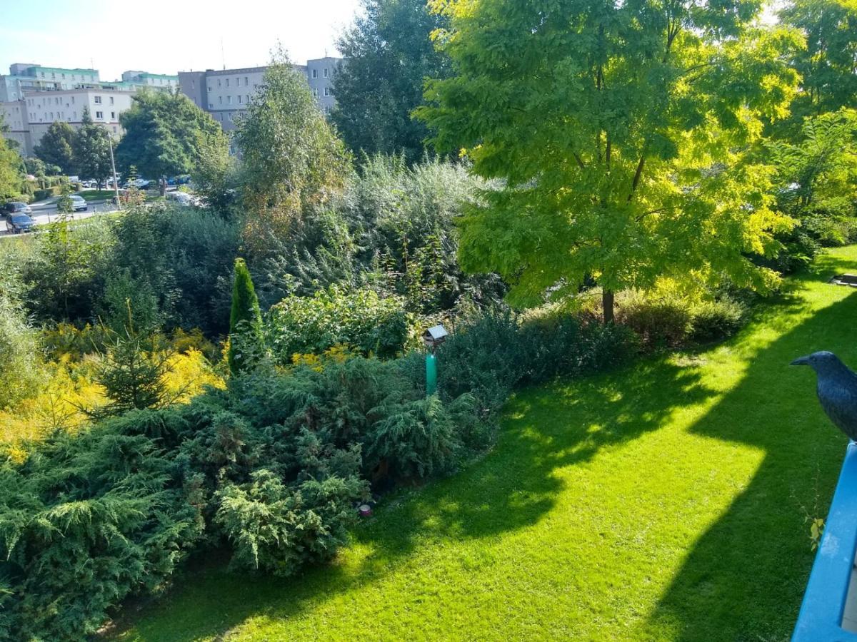 Green Apartment Z Bezplatnym Parkingiem オルシュティン エクステリア 写真