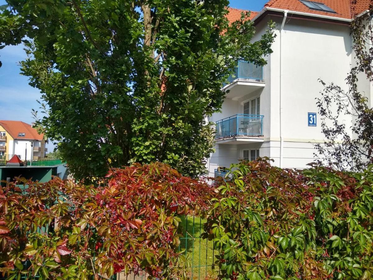 Green Apartment Z Bezplatnym Parkingiem オルシュティン エクステリア 写真